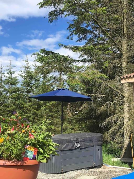 Bankhead Accommodation With Hot Tub Aberdeenshire Gamrie Екстер'єр фото